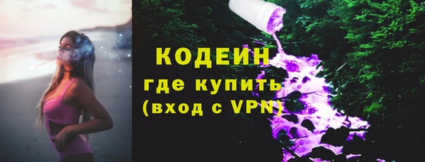 индика Слюдянка