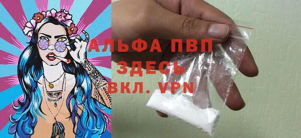 индика Слюдянка