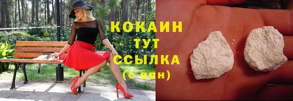 индика Слюдянка