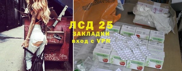 индика Слюдянка