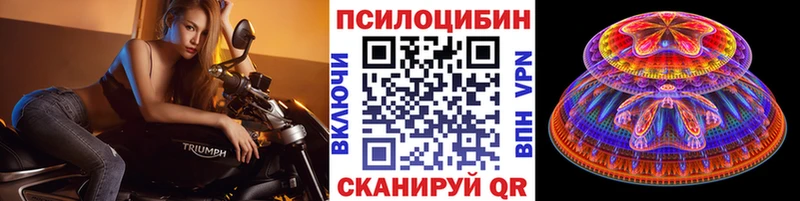 как найти закладки  Киренск  Галлюциногенные грибы Cubensis 